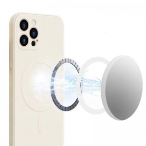 แม่เหล็กผลิตภัณฑ์หนัง